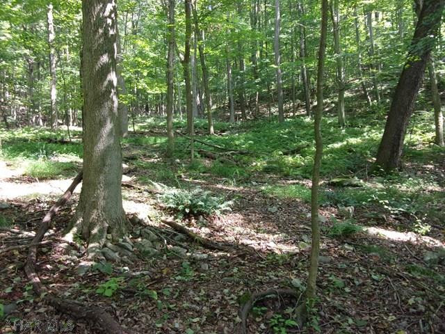 Woodbury - Land
