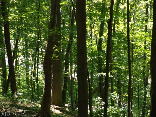 Woodbury - Land