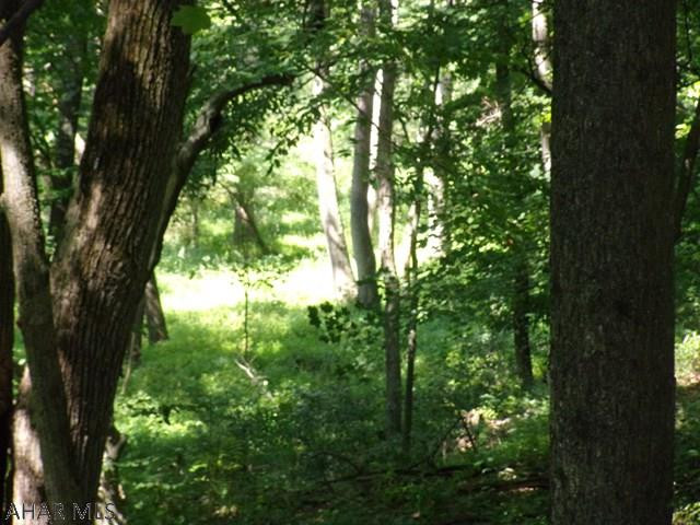 Woodbury - Land