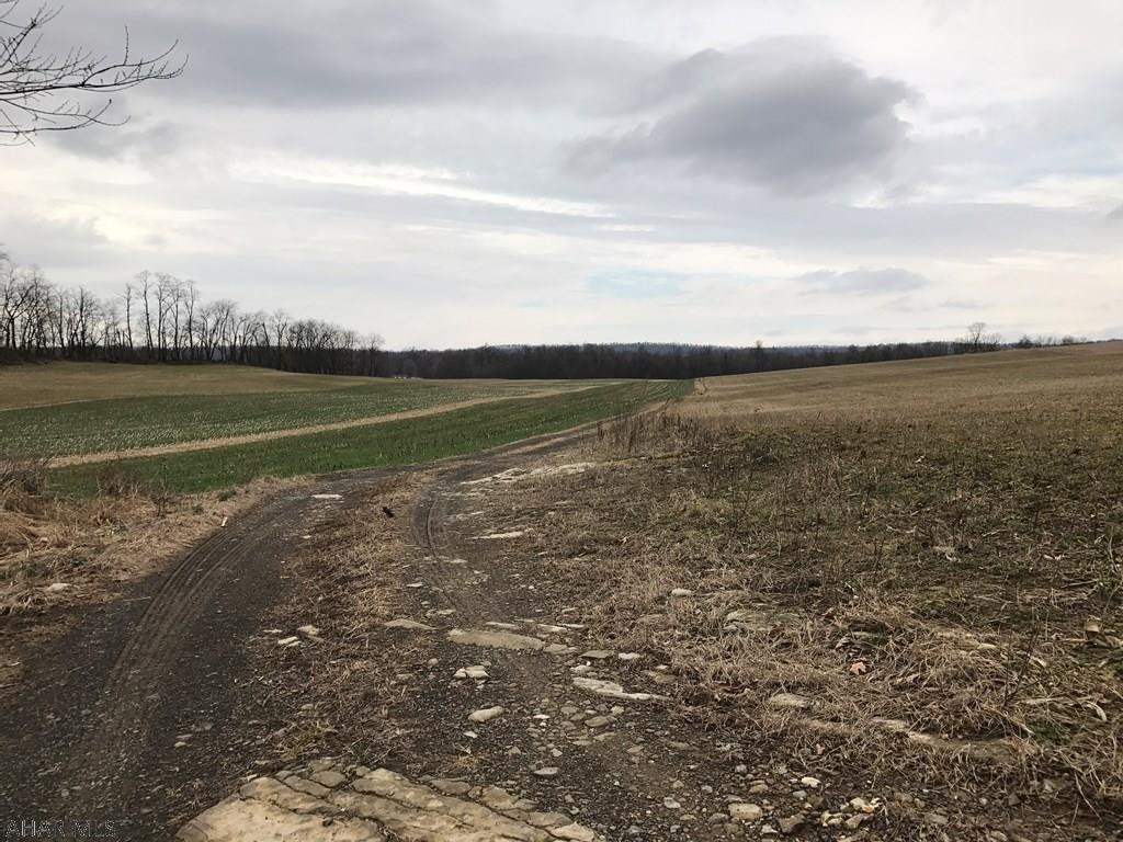 Unknown - Farm