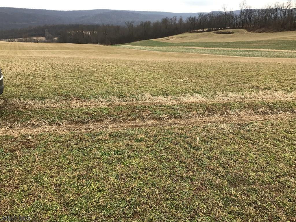 Unknown - Farm