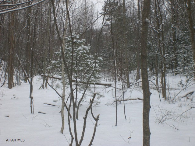 Approx. 55 acres of wooded land. Good recreational and hunting land. Property has public road frontage. Property is steep in areas.