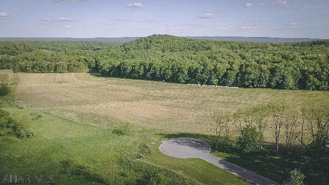 Welcome Home to Sunken Hollow.  Build your dream home or your very own horse ranch on any of these three breathtaking building lots.  Lot 2 = 12.1 acres & listed at $210,000 & listed at $260,000 & Lot 4 = 31.94 acres & listed at $300,000.  Restrictive covenants, your choice of builder (plans to be reviewed by the developer), domestic animals & horses are permitted (other livestock is not allowed), perc tested for in-ground septic systems, all lots have electricity to the lot boundary in the cul-de-sac.  Centrally located between State College & Altoona, easy commute in either direction.   Please note that the taxes are estimated & to be determined by the Centre County Assessment Office.  Buyer is responsible for applying for Clean & Green.