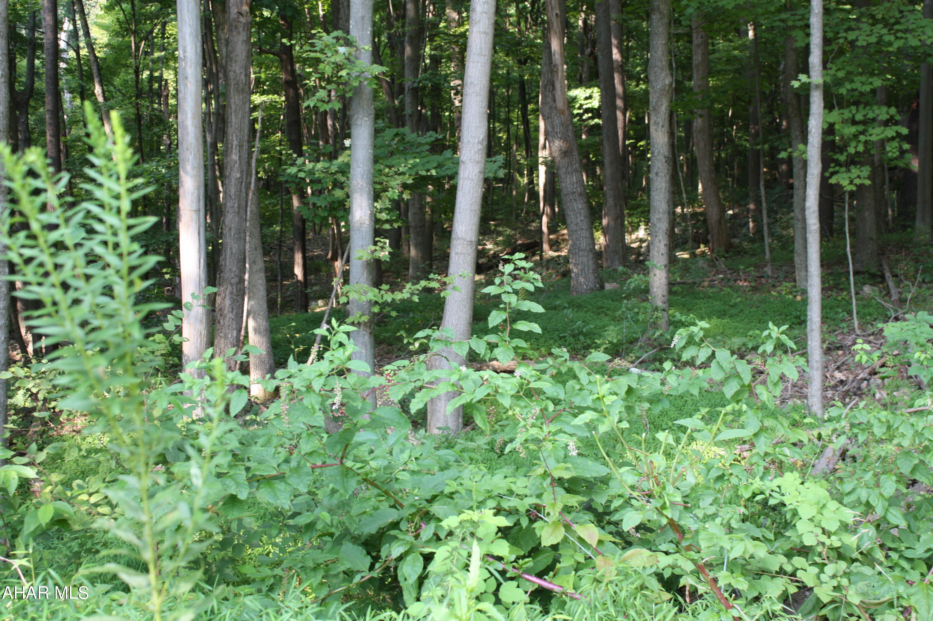 Other - Farm