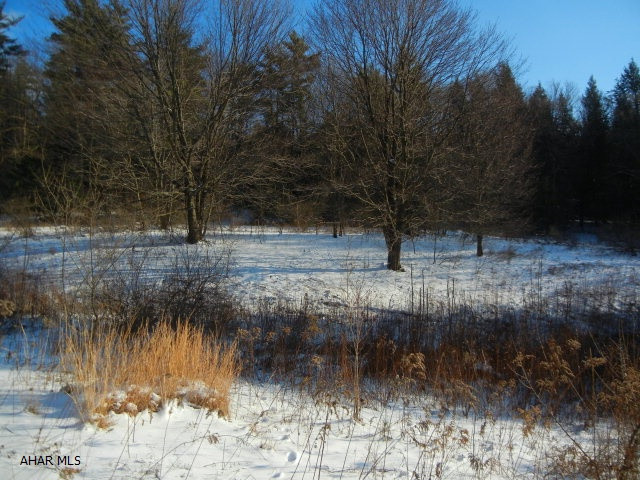 4.5 acres with road frontage. Property being sold as is. electric and water to property.
