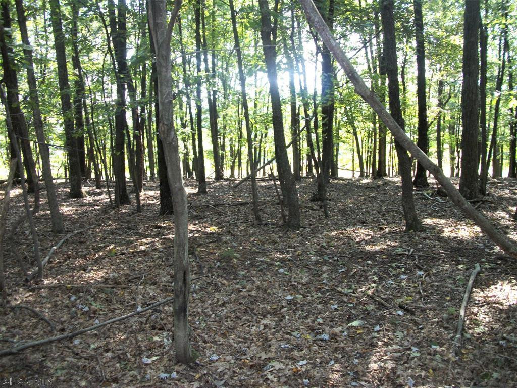 Unknown - Land