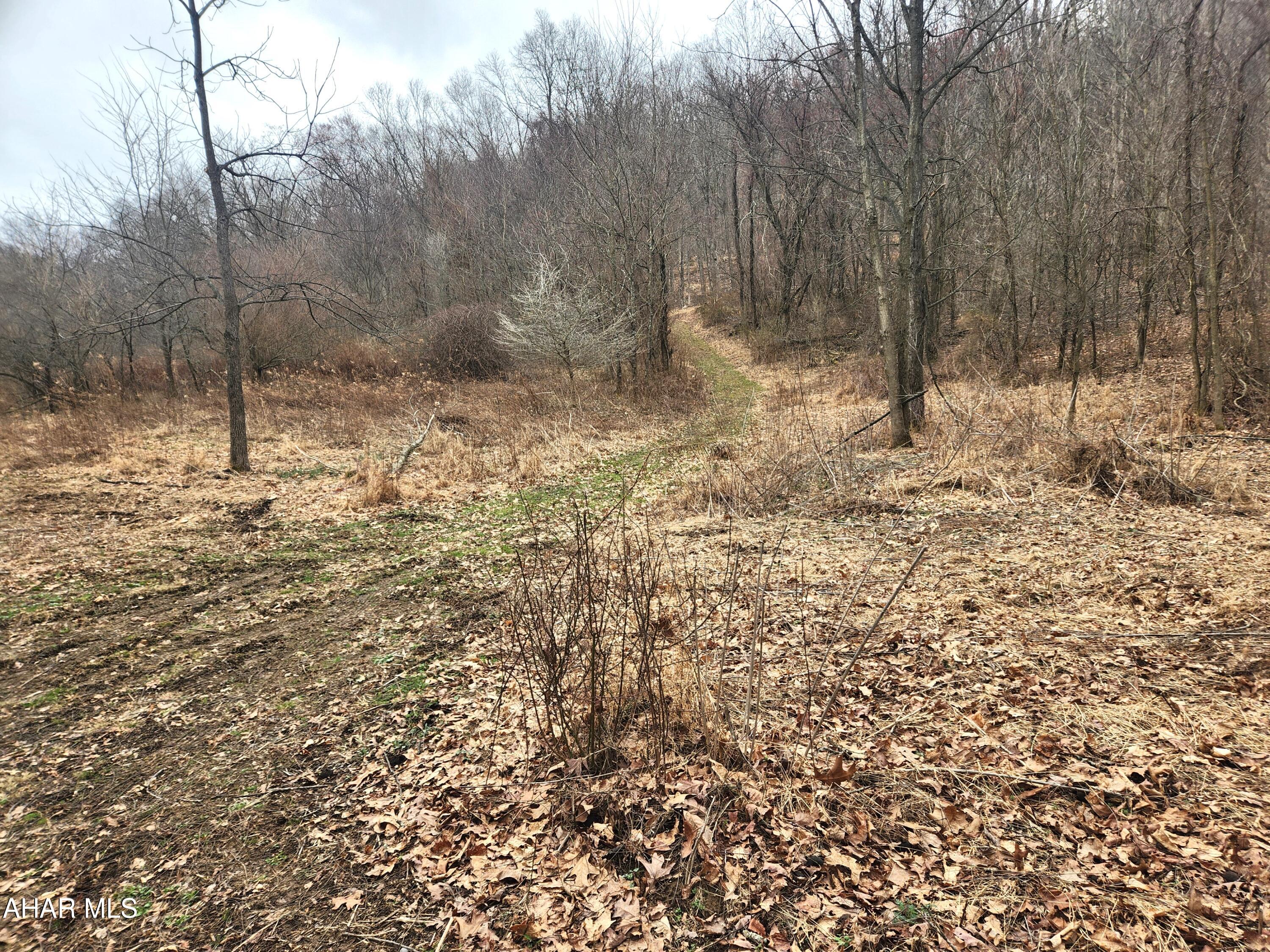Are you looking for that perfect piece of land to build your forever home, hunting cabin or weekend getaway?  Come discover the beauty and tranquility of this 15-acre mature woodland property, a rare opportunity for nature lovers, outdoor enthusiasts, and conservation-minded buyers. The land is predominantly wooded with established oak, maple, and locust trees, creating a diverse forest canopy that changes beautifully with the seasons.  It offers multiple building sites with some really good views of the surrounding countyside.
Well-suited for hiking, wildlife observation, and nature photography, the property offers peaceful trails and natural clearings where you can immerse yourself in the surrounding landscape. The setting provides a semi-secluded atmosphere with exceptional privacy, making it an ideal retreat from the pace of everyday life.
Bordering state game lands #48, the property benefits from 11,000 additional acres of protected habitat nearby, enhancing opportunities for outdoor recreation and wildlife viewing while helping preserve the area's natural character.
The current owners are stewards of the land, and strove for eco-friendly living, sustainability of the land and conservation resulting in this land being perfectly suited for those who have the same interests, offering the chance to care for a thriving woodland ecosystem while enjoying the quiet beauty of a private forest setting.
Whether you envision a private retreat, conservation-focused homestead, or recreational getaway, this remarkable wooded acreage provides a peaceful setting where nature takes center stage.
The owner will be adding a deed restriction that no hunting will be permitted on this parcel for as long as they live on the neighboring parcel.  Property is in the Clean and Green program.  Buyer to verify taxes and acreage.