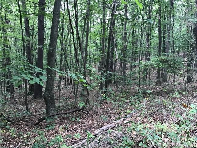This property offers 44.625 acres of wooded land.  Perfect for outdoor recreation, a new home or cabin property.  Public road frontage and just steps away from State Game Lands!