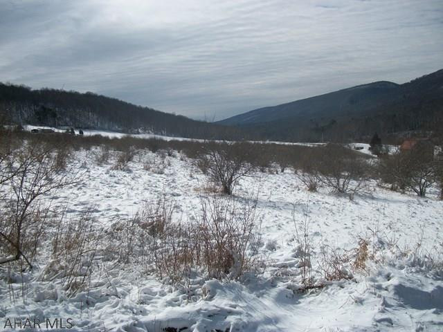 Very nice parcel consisting of 3 lots sold as one sale 21.68 acres in total. Approx. 12 acres overgrown pasture , balance in hardwood timber. Adjacent to Pa. State game lands. Frontage on Black Valley Rd. and Monroe Twp. 351