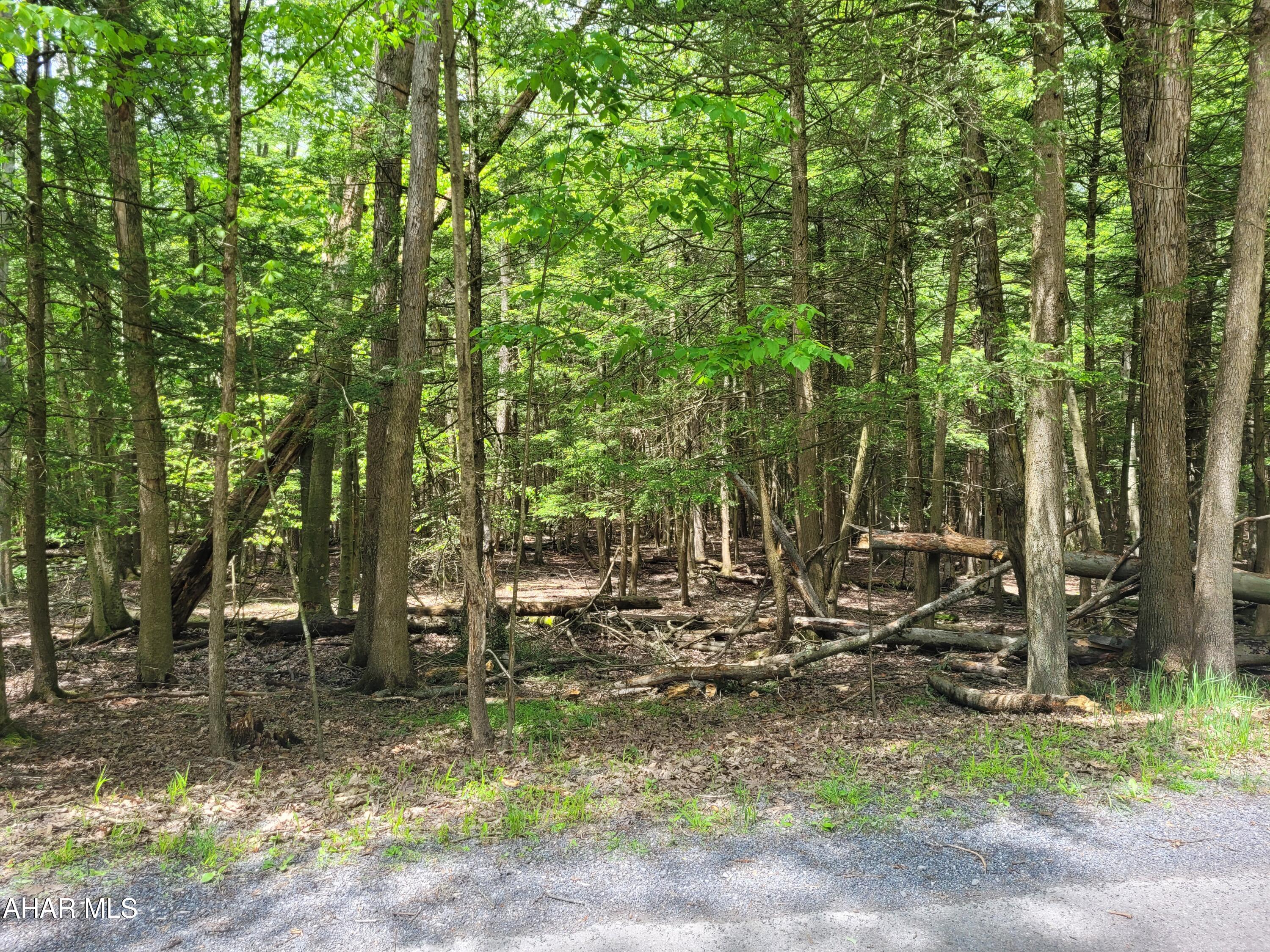 Flat, wooded lot to build your dream home or getaway cabin. Public water and sewer available.  

Seller is motivated to sell.