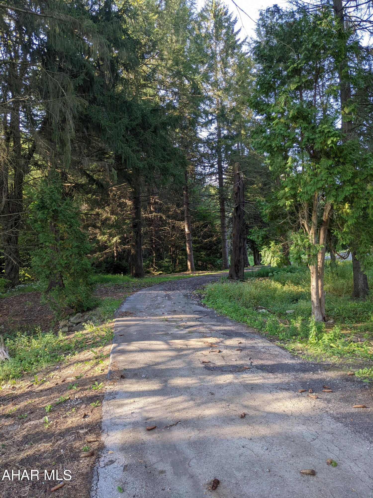 Land for sale in Jackson Twp - 9.9 acres; Includes garage and pavilion. Open areas and wooded sections with a rolling stream makes for a picturesque surrounding. Public water and Sewer. Central Cambria Schools District.