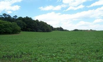 Beautiful countryside property for building a dream home or sub-dividing into lots! Level with a great view. Only minutes from downtown Bedford. Contact Vickie Geisler 814-285-2241