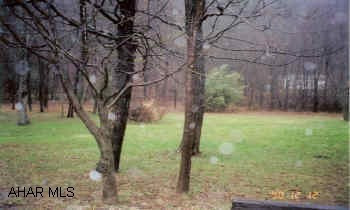 Flat lot close to state game lands along Route 36 North.