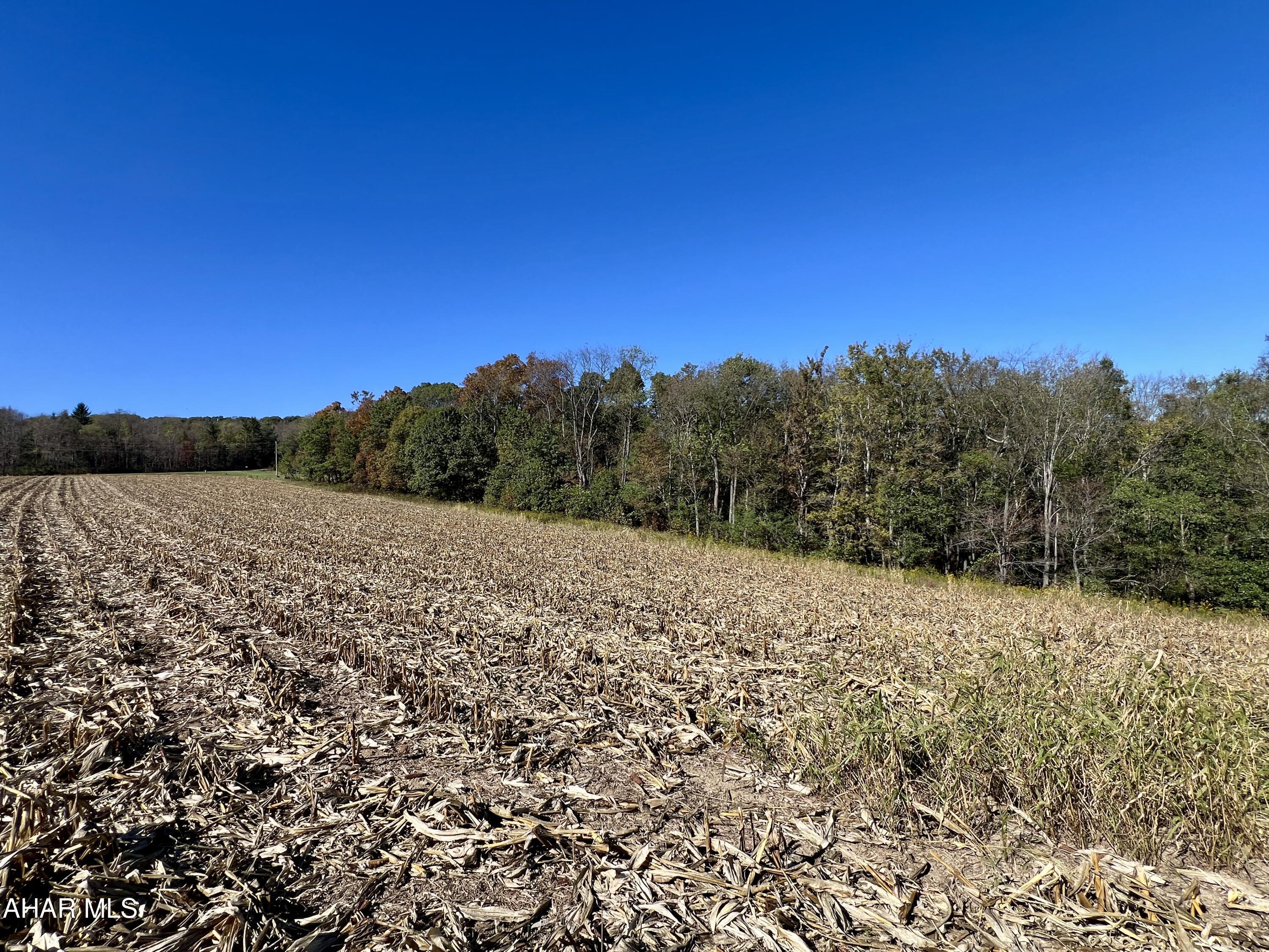 35+/- Acres featuring a cleared area to build your dream home with stunning views of the surrounding countryside. The remaining wooded acreage provides ample recreational opportunities, for hunting, ATV riding, horseback riding, hiking, biking, and exploring nature. Whether you're seeking a place for a full-time residence or a peaceful getaway, this property makes an excellent choice for outdoor enthusiasts and those looking for a private retreat. Property has recently been surveyed.