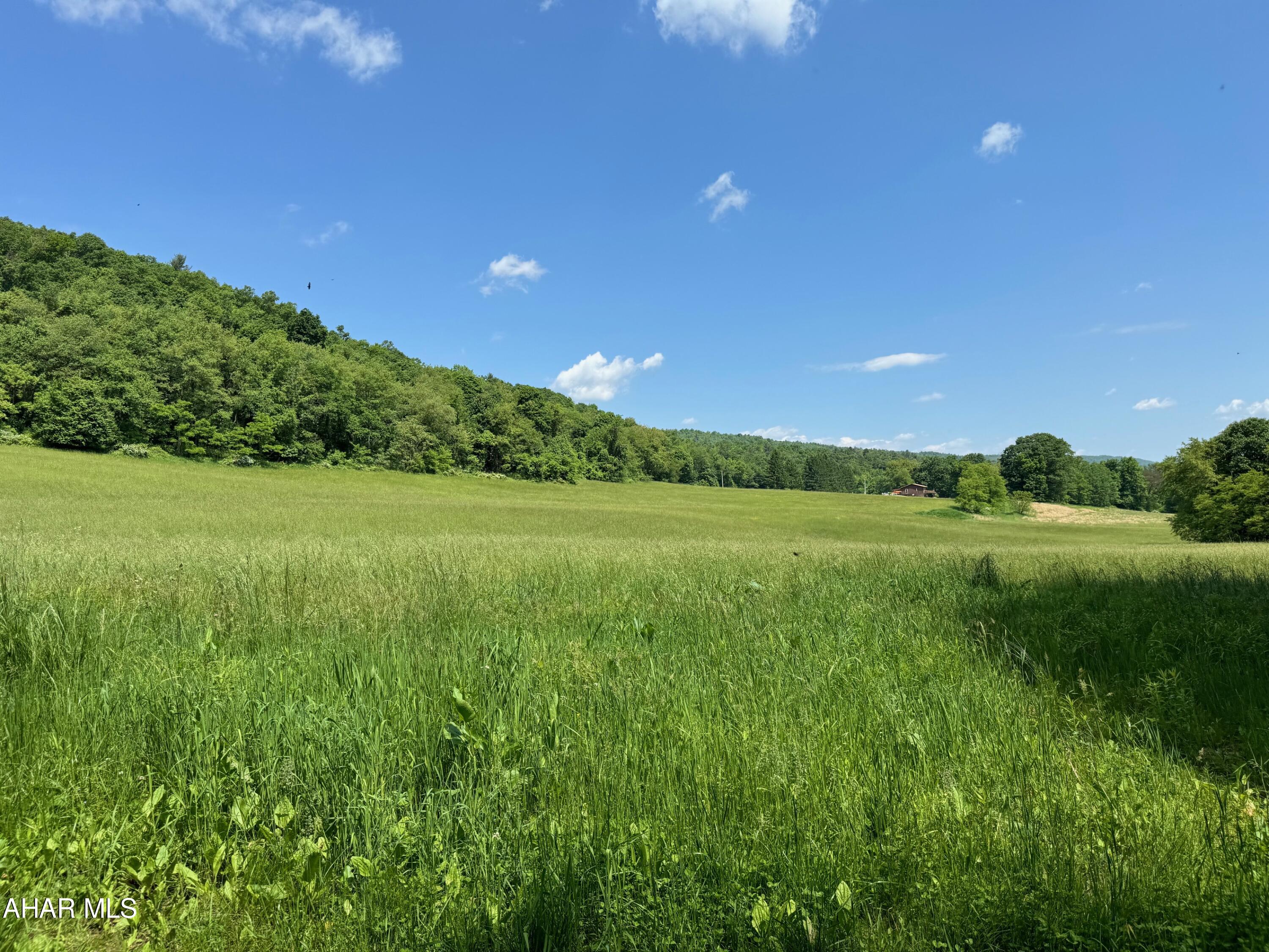 This parcel offers 75.3 acres of scenic open and wooded land in Beautiful New Enterprise, PA! Approximately 24 acres of tillable land with the remainder being wooded. Stream on site and bank barn. This would make a terrific building site (with approvals), good agricultural land, hunting or recreational property.