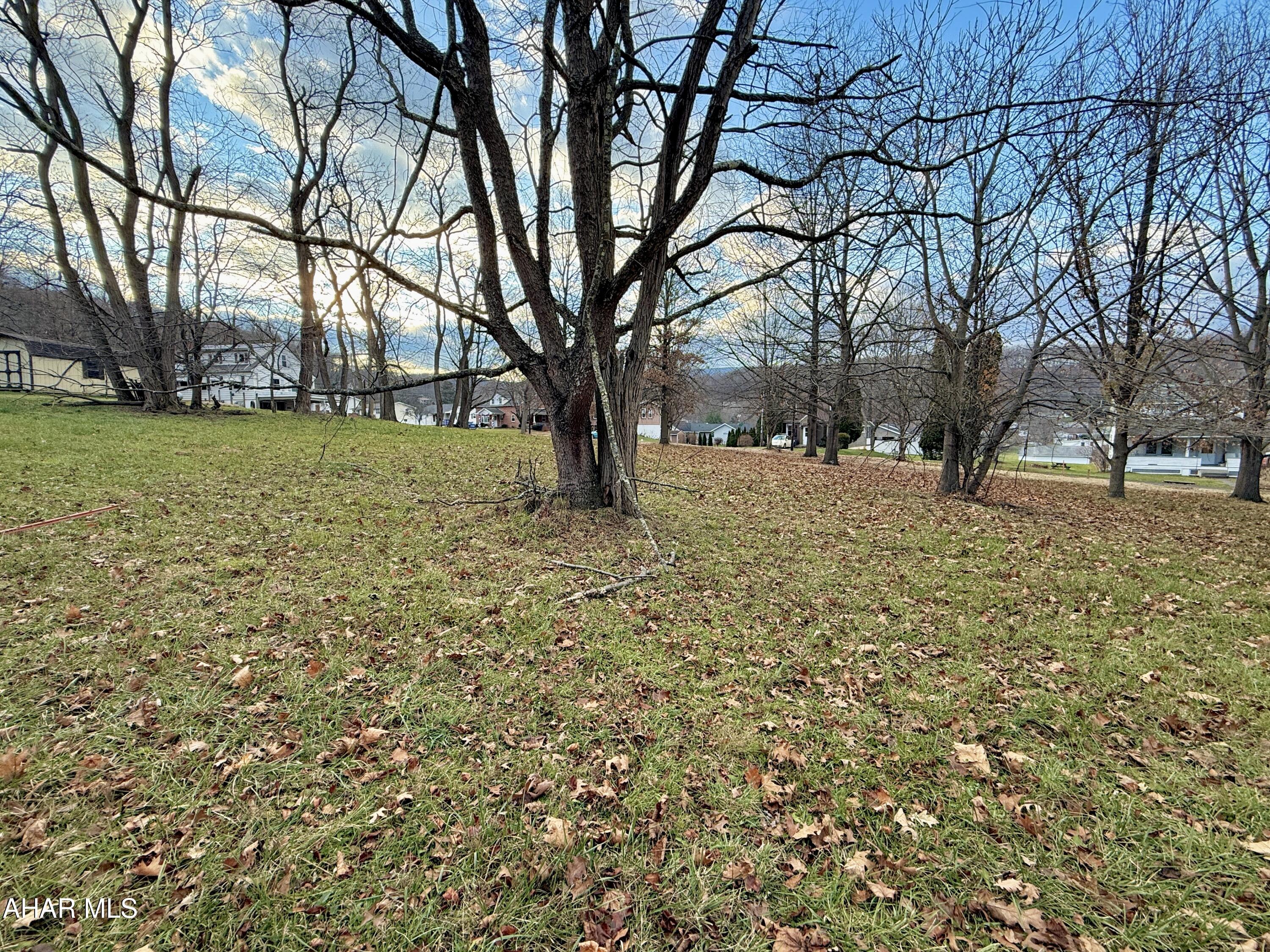 Other - Land