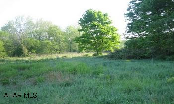 2.7 flat, partially wooded acres with approximately 288 feet of road frontage. Turn right at light in Manns Choice. Property on right This property has public sewer available and is flat and partially wooded. Conveniently located close to Manns Choice and Shawnee State Park.  Perfect to put a mobile home or double-wide.  Excellent location for the hunting and fishing enthusiast!!!!  This would be a great investment property for storage sheds, a mobile home court, or put a hunting/fishing camp.  This property was drastically reduced in price for a quick sale.  Make your best offer & call Lacy today at 724-494-1086!!!!
