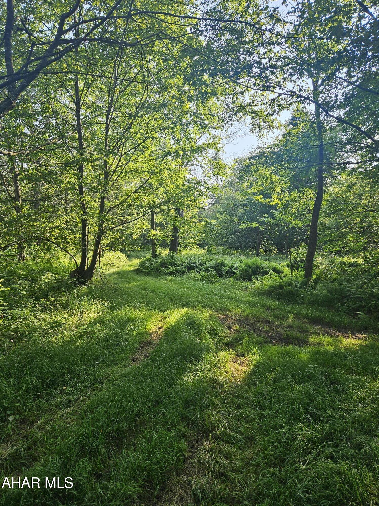 None - Land