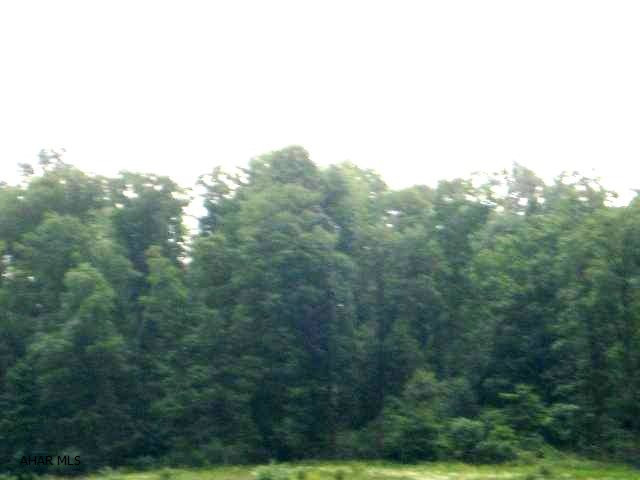 This mostly wooded 6.3 acre parcel is situated on a hilltop overlooking the surrounding countryside in the Dutch Corner area of Bedford.  Would make a wonderful site for your future home or get-a-way.