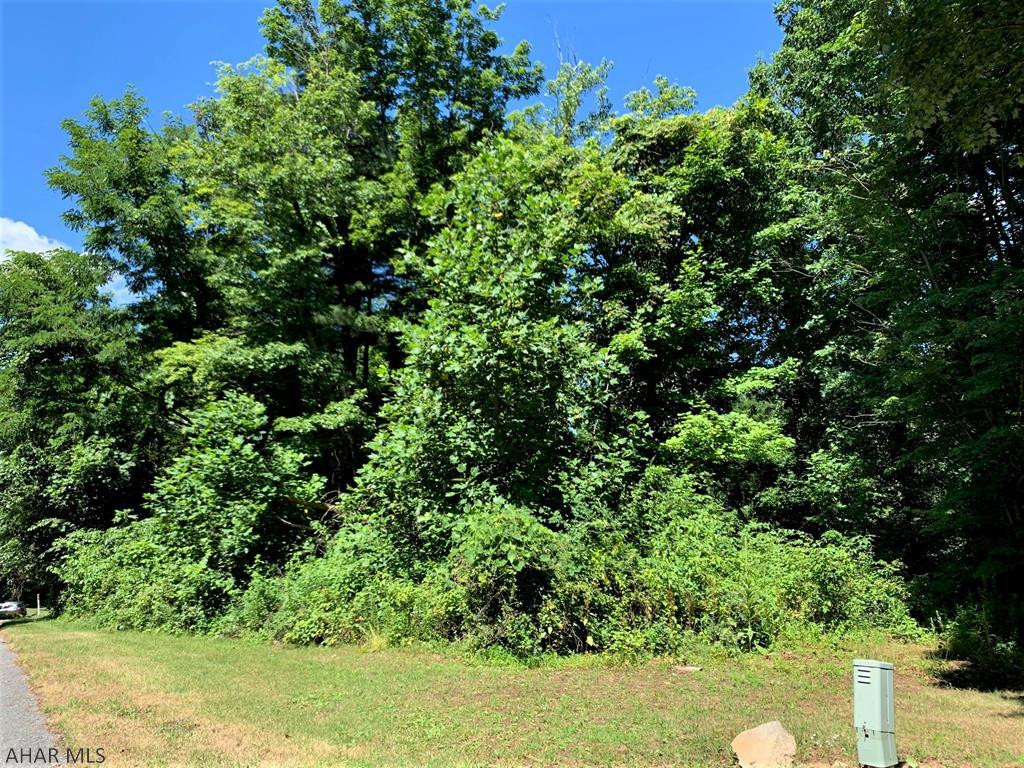 Wooded building lot in beautiful Juniata Mills Development! This lot contains .597 acre, has public sewer and electric. Buyer to drill a well. Perfect building lot for your new dream home!!