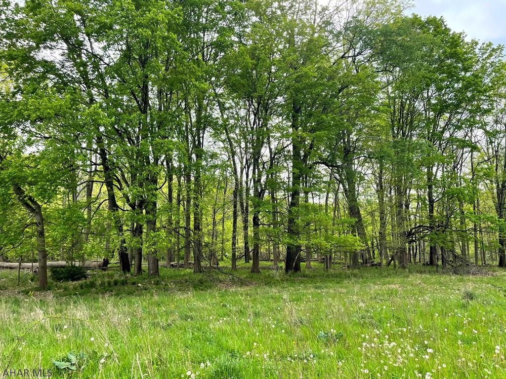 Other - Land