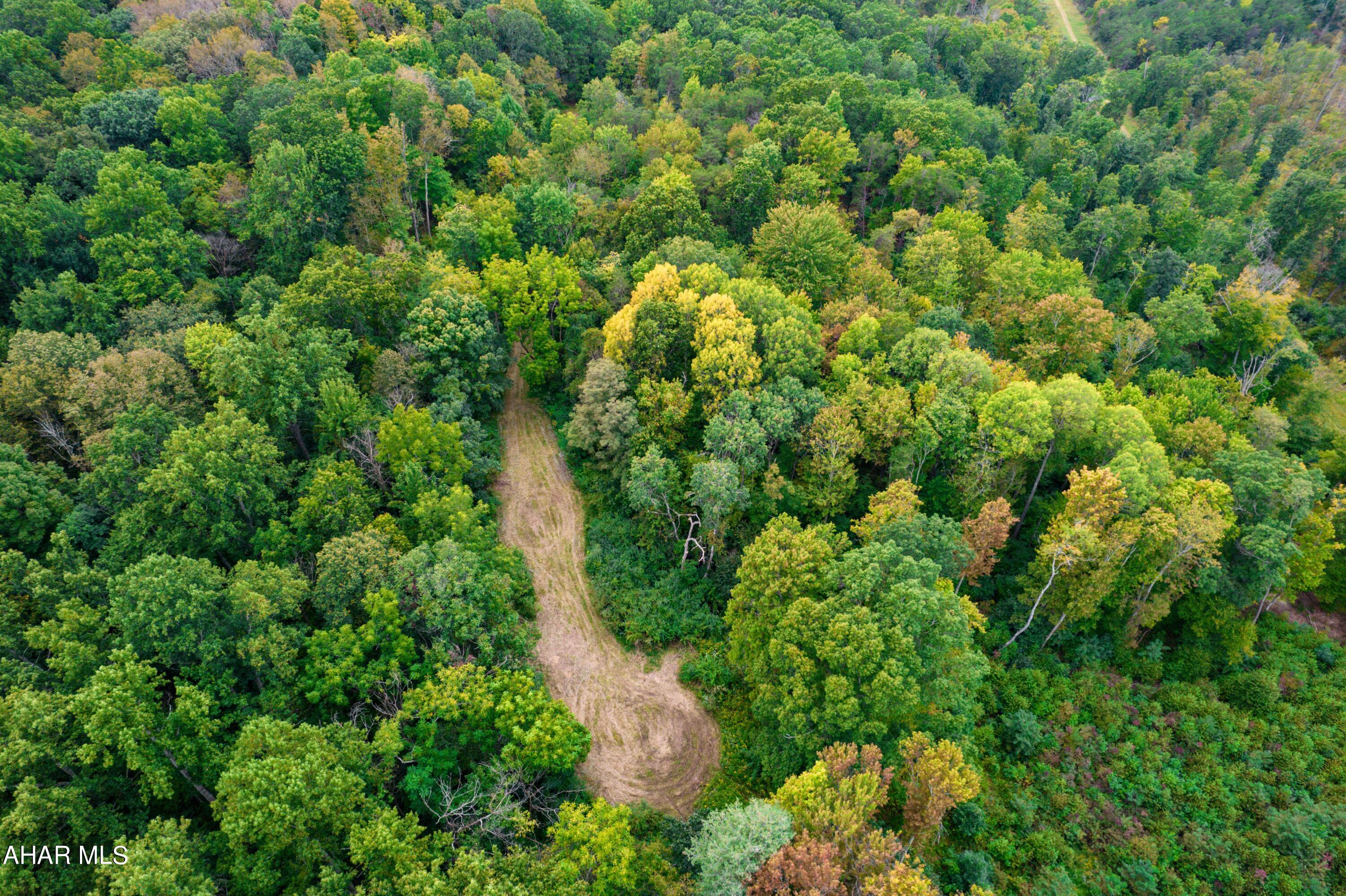 17.23 acre parcel would make for a great building site for that new dream home or recreational cabin!! Land ADJOINS State Game Lands. Situated approximately just five miles from the borough of Hollidaysburg, it's close to supporting amenities but still private and secluded. Mostly wooded parcel with private access.