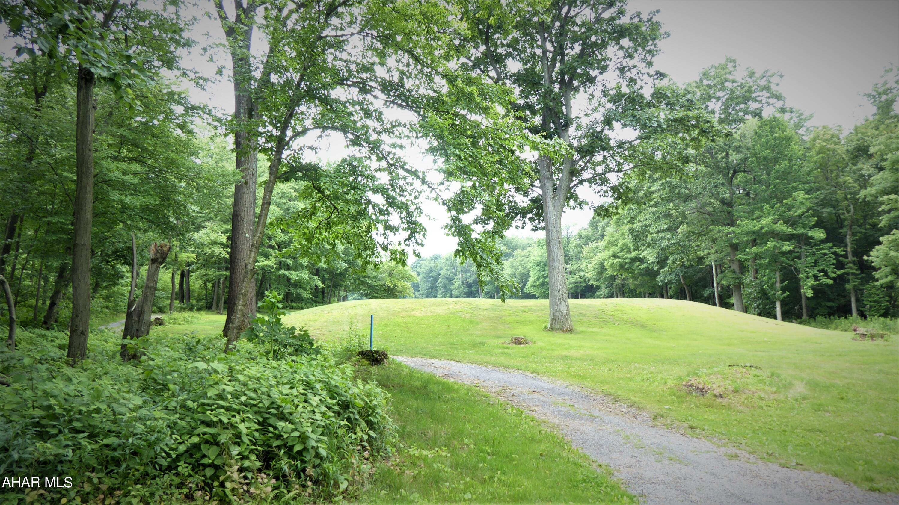 Blue Knob - Land