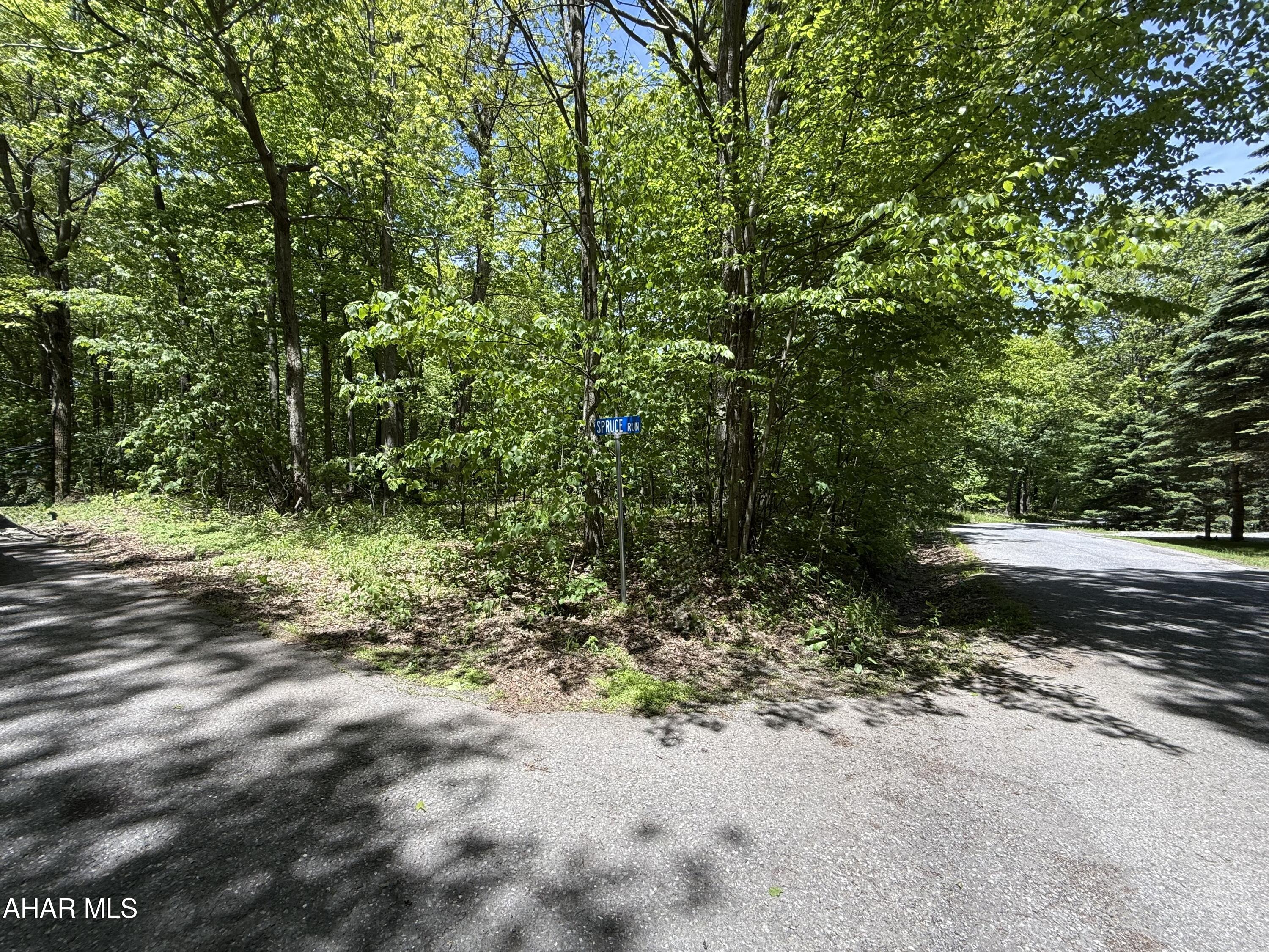 Perfect corner building lot at Blue Knob mountain. Water, Sewer and Electric are available just pay tap fee. HOA Lot Owners - $125.00 a year Homeowners - $425.00 a year SKA Membership Dues include: Road maintenance Snow plowing of the roads Access to: Dumpsters for trash Outdoor pool Tennis court Biking and hiking trails Clubhouse Bar and Grille (open ski and golf season) Indoor pool, sauna and hot tubs for a reasonable fee. Golf Course for fees posted on blueknob.com Snowshoeing Downhill and Cross Country Skiing for fees posted on www.blueknob.com Fun, excitement, beauty, activities, wildlife, relaxation - PRICELESS!