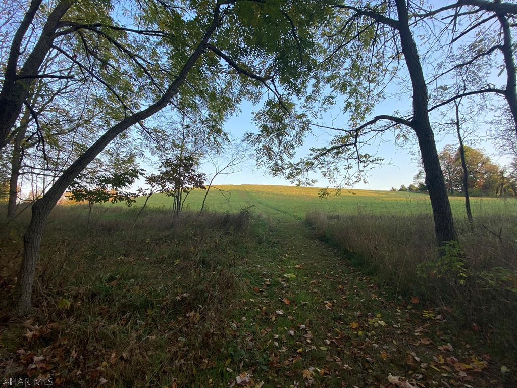 Other - Land
