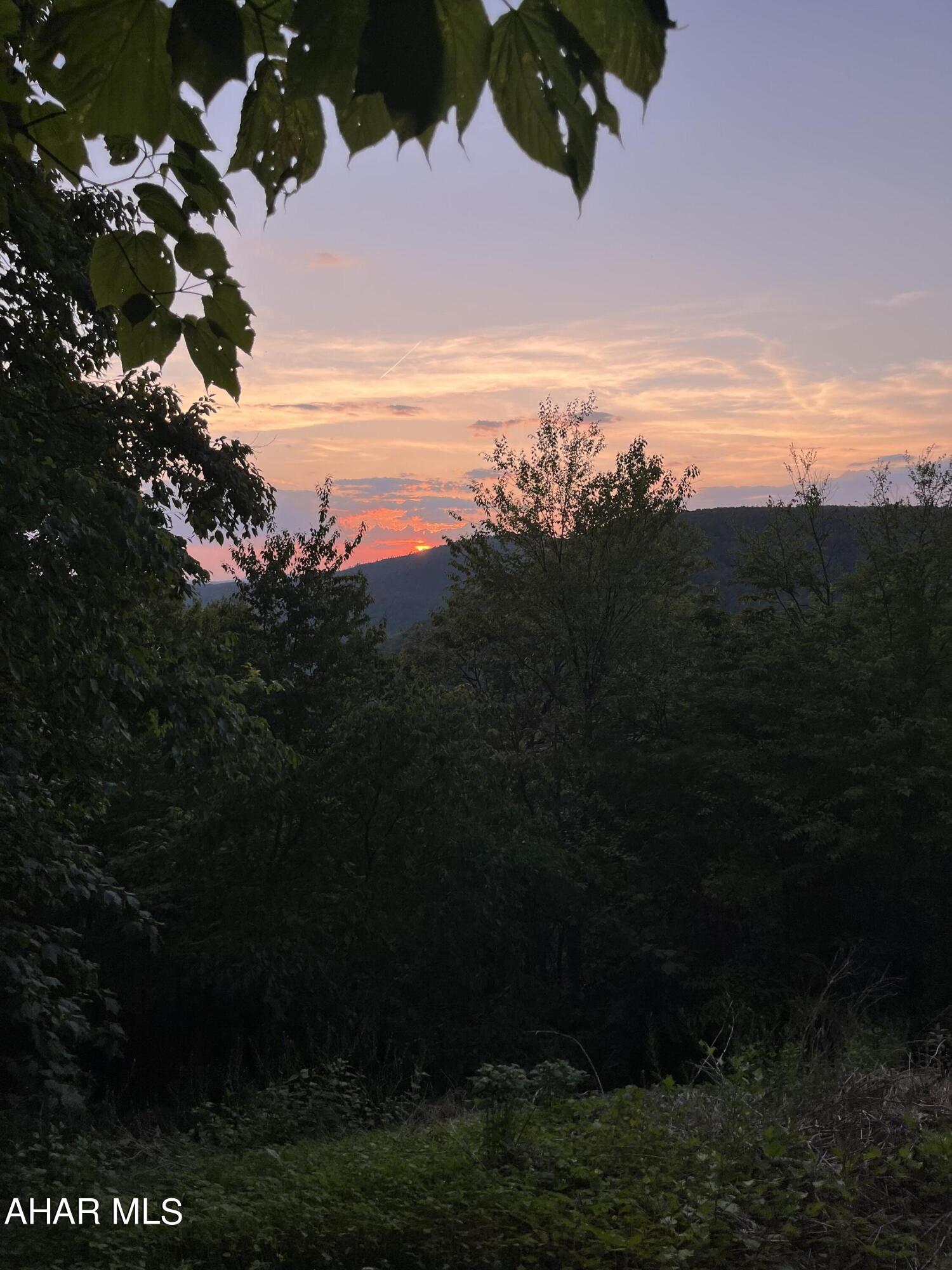 Blue Knob - Land