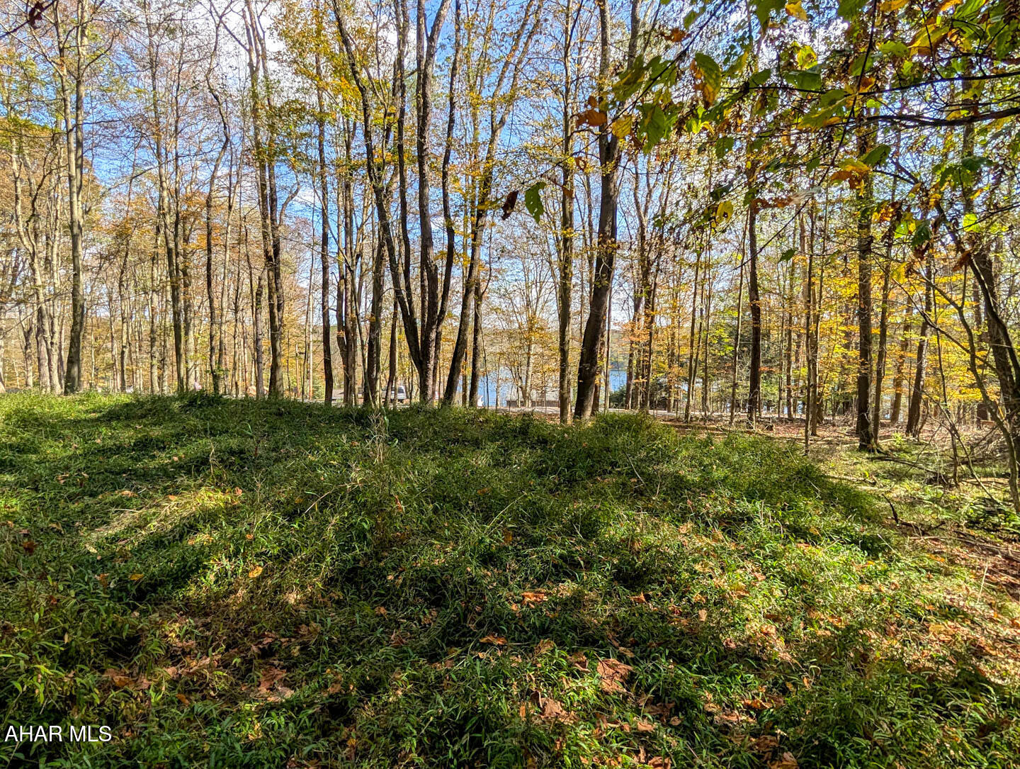 Luxury Homesite with lake views and golf course backdrop, 0.76 Acres on Peninsula Drive, Indian Lake Borough.
Discover an exceptional opportunity to craft a luxury retreat on this 0.76-acre wooded lot along one of Indian Lake Borough's most desirable corridors. Perfectly positioned, this property offers lake views just across the street and an exclusive vantage point overlooking the manicured 4th hole of the Indian Lake Golf Course from the rear—an unparalleled dual-view setting rarely available.
The homesite is thoughtfully prepared with a professionally installed sound-mound septic system, while public water and electric are conveniently located at the street, allowing you to begin designing your custom residence with ease.
As part of the Indian Lake community, you'll enjoy premier lake privileges and year-round recreation in a private, resort-style environment. Spend summers boating, water skiing, and kayaking on crystal waters; enjoy scenic hiking and biking trails; and take advantage of pristine golf just steps away. Indian Lake offers a lifestyle of tranquility through all four seasons.
Nearby enrichments include the nationally acclaimed Flight 93 National Memorial, the Tower of Voices, Mountain Ridge ATV Park, Shawnee State Park, and championship golf at both Indian Lake Golf Club and Northwinds Golf Course. Indulge in the region's charming wineries, maple farm, and unique local experiences.
For a taste of the setting's natural beauty, explore the aerial showcase by Wind Walker Drones on YouTube—an inspiring glimpse into the luxury lake life that awaits.