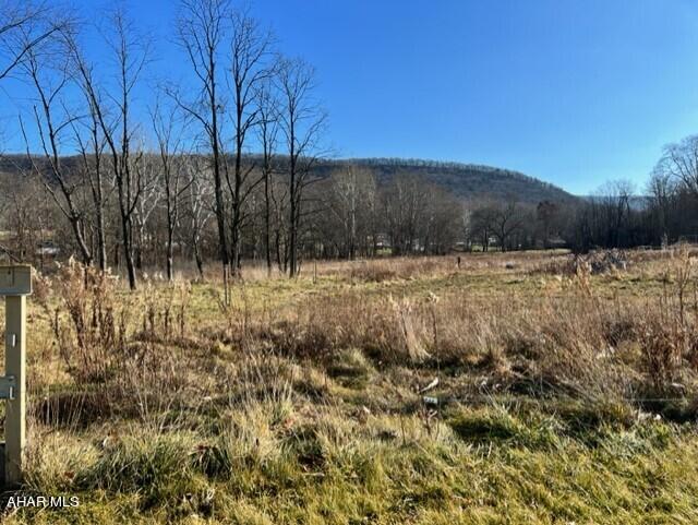 2.91 acres on Rt 31.  Public sewer is available.  Sale contingent upon subdivision approval.  Survey is available.   Acreage is approximate and taken from county records. Buyer to verify acreage.Great place to build your dream home.