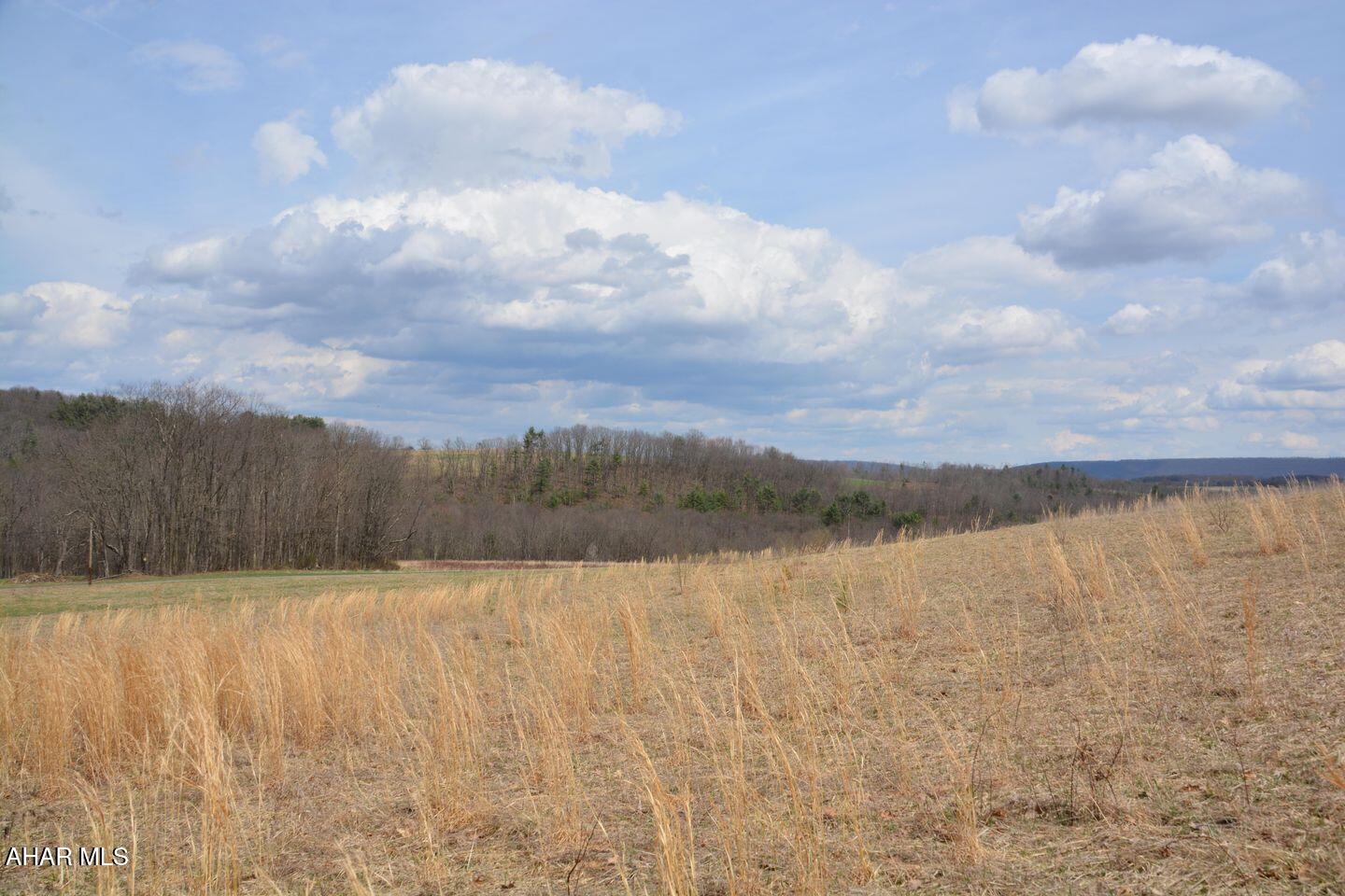 Other - Land