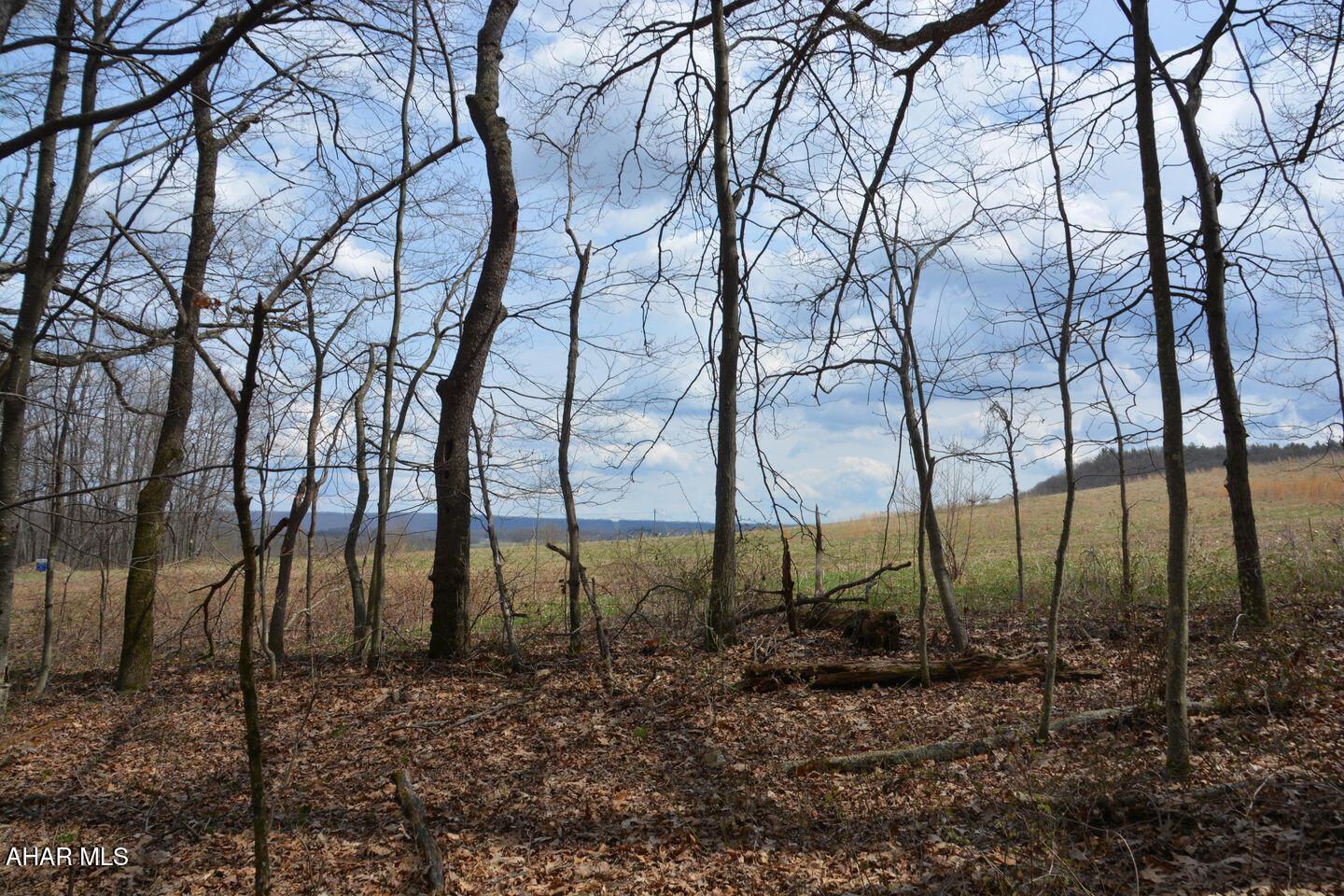 Other - Land
