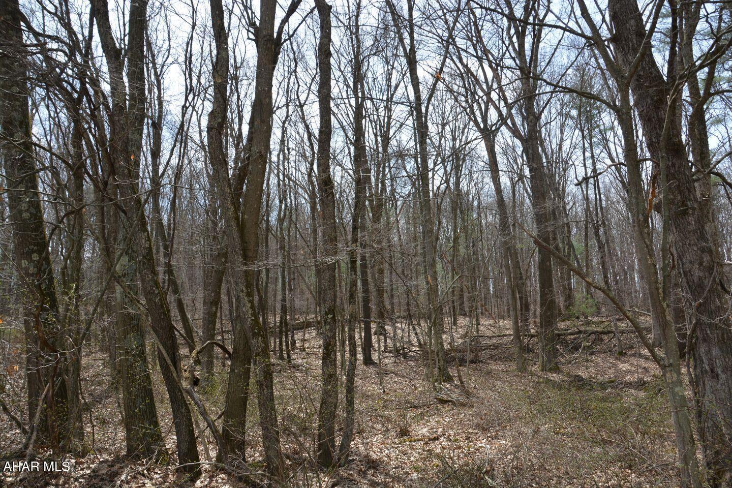 Other - Land
