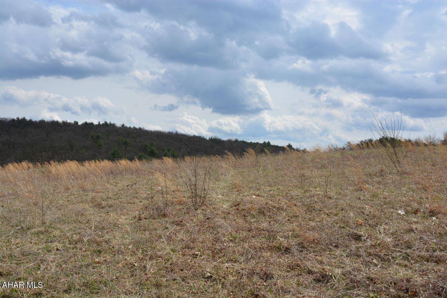 Other - Land