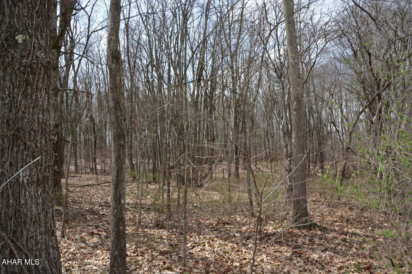 Other - Land