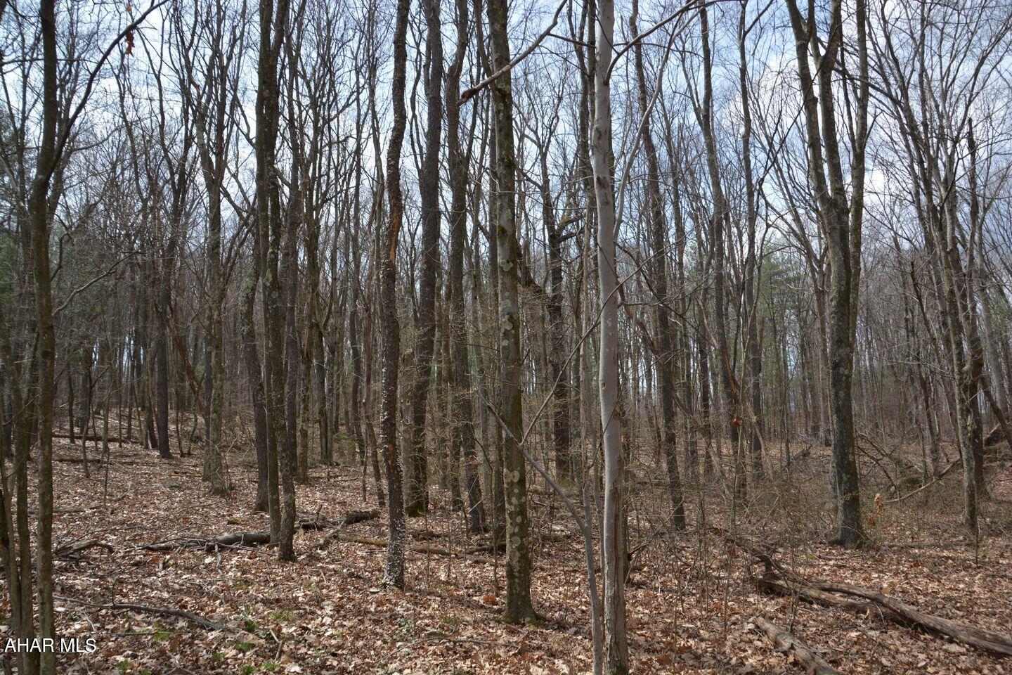 Other - Land