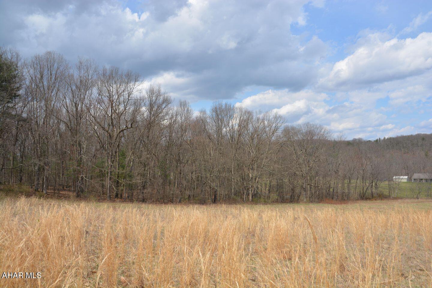 Other - Land