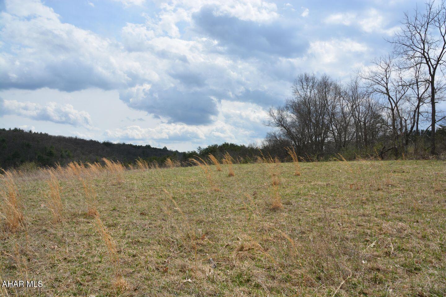 Other - Land