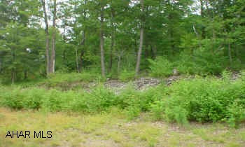 51+ acres in Hollidaysburg. Subdivision started, 10 parcels have been perk approved.