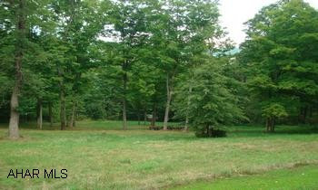 5.3 Acres located on Route 96 South in Bedford School District.  Partially wooded, with stream, level. 5.35 Acres located on Route 96 South in Bedford School District.  Partially wooded, mostly level lot, with a stream.  Property has been solely used as a picnic area and retreat for decades.  Would make a wonderful building location for a home or a nice recreational area for small or large groups.  Price reduced to $22,400!