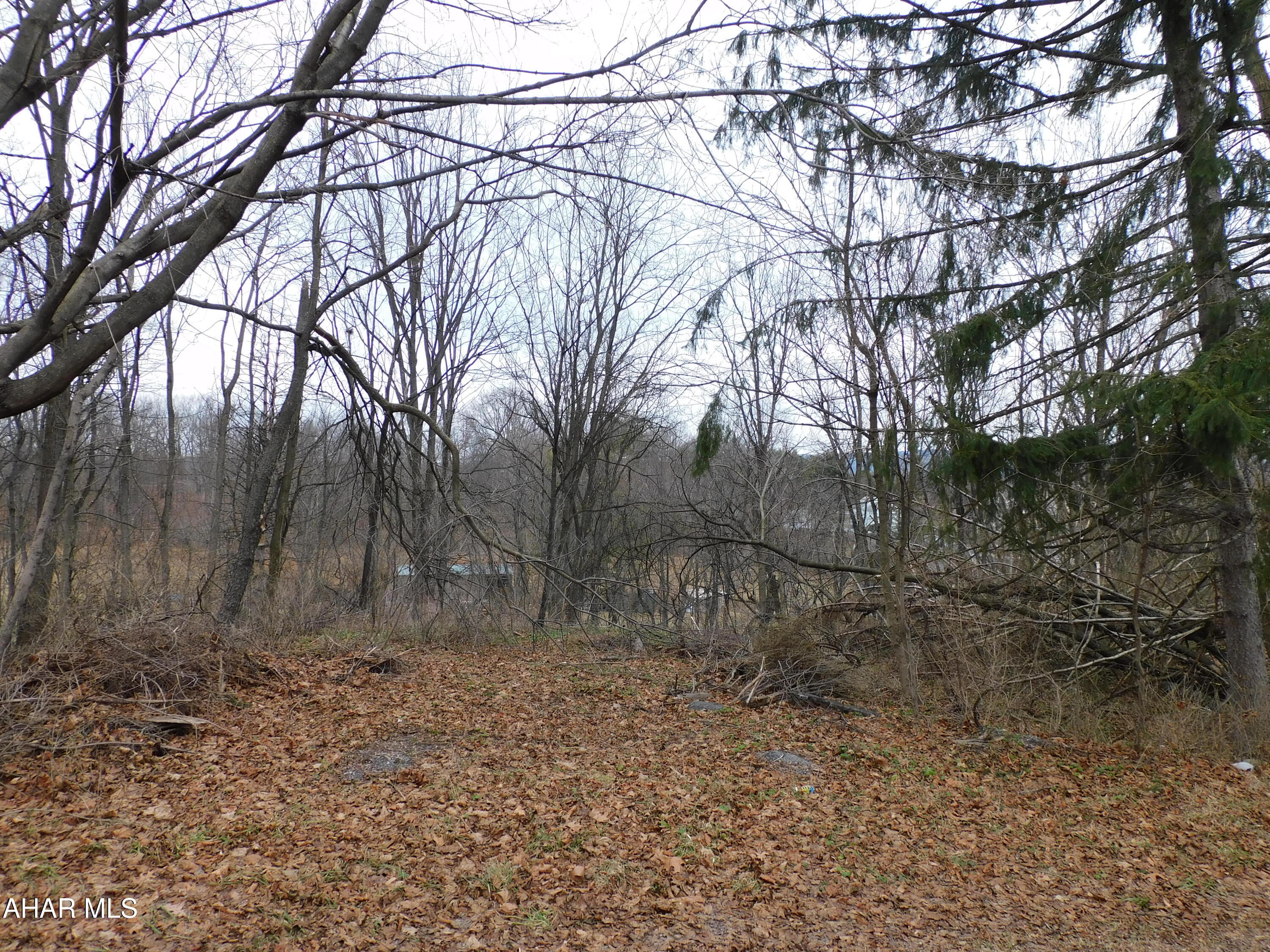 2 wooded parcels of land in Logan Township. Parcels are 200 x 120 and  200 x 120. Approximately 1.1 Acres total. An additional 3 parcels(100 x 120, 50 x 120, and 50 x 120) can be purchased with these parcels. Check MLS # 79259 for more information.