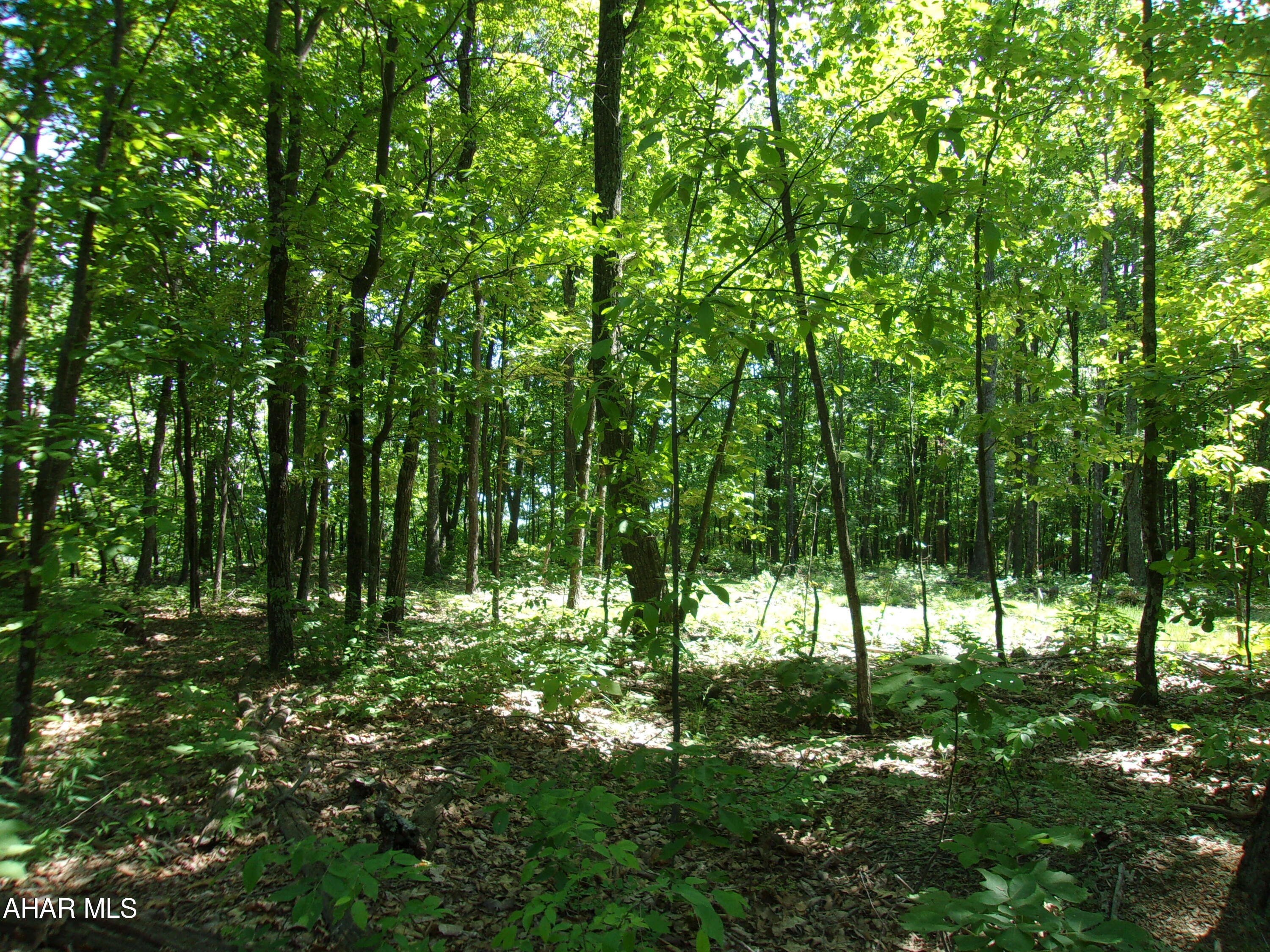 Other - Land