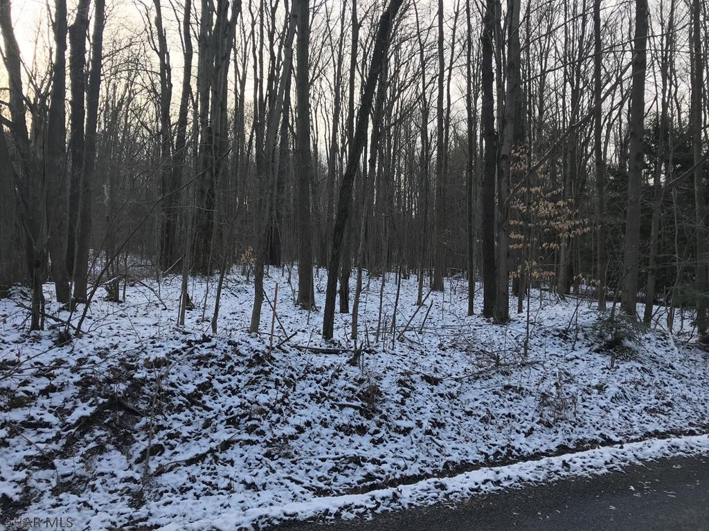 Wooded tract. No perc done.