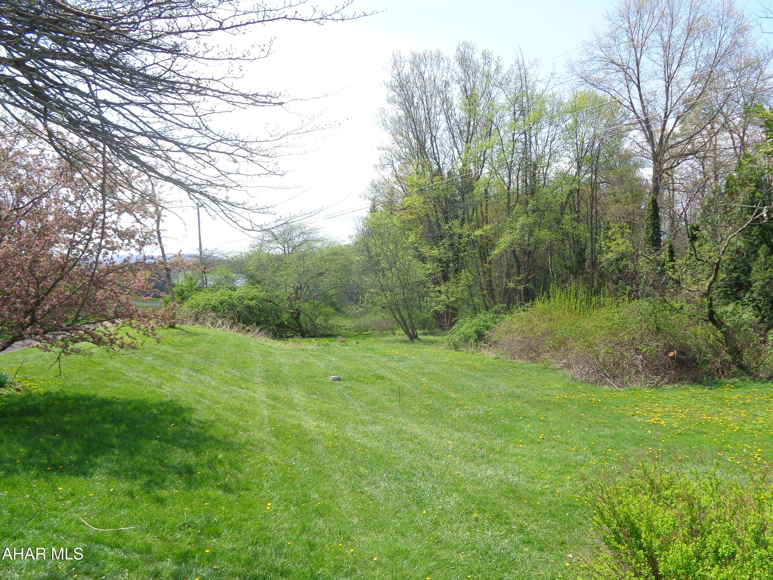Blue Knob - Residential