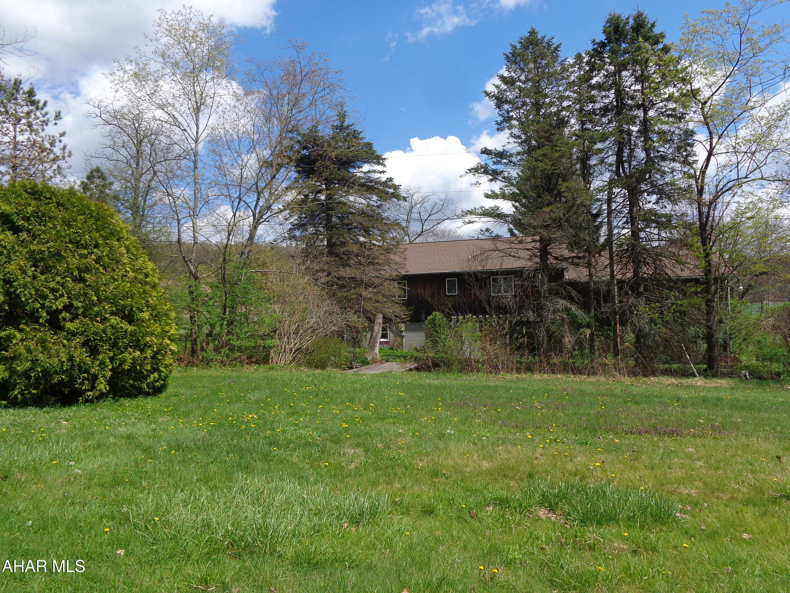 Blue Knob - Residential