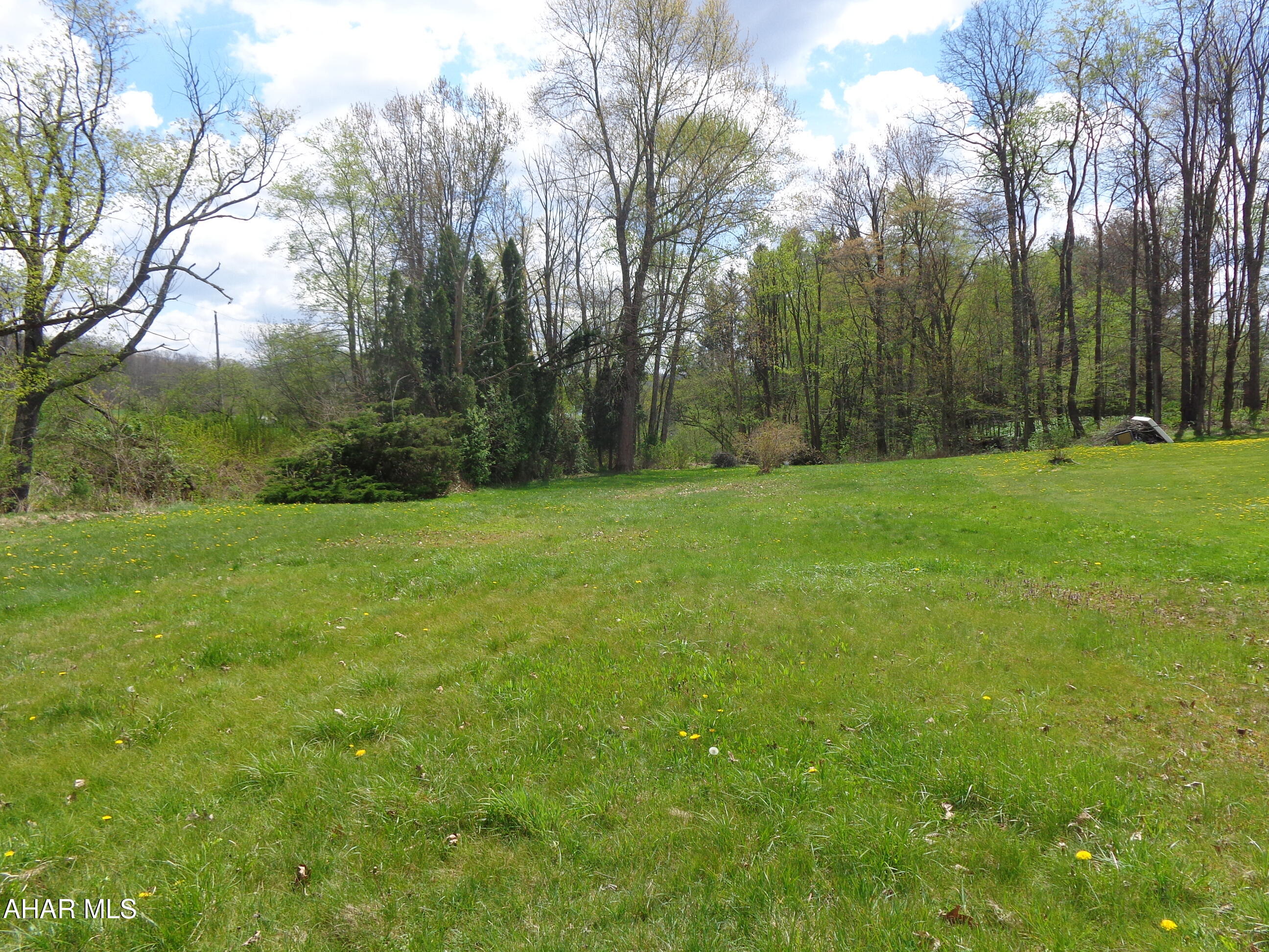 Blue Knob - Residential