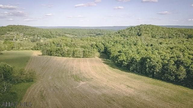 Sunken Hollow - Land