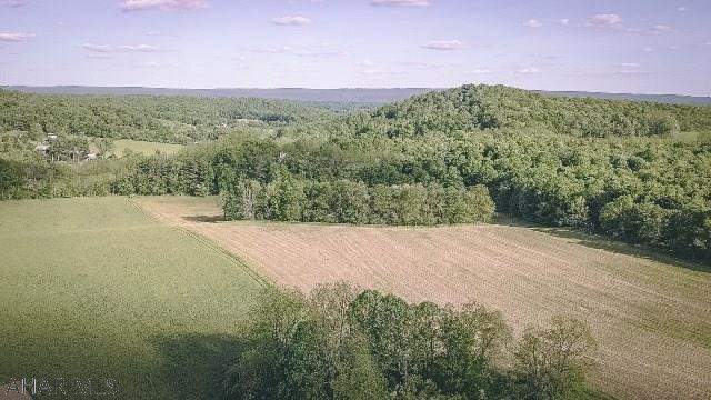 Sunken Hollow - Land